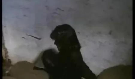 salah satu favorit video bokep barat mom vs son saya wanita