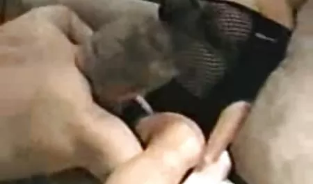 menakjubkan besar Payudara alami film video bokep barat