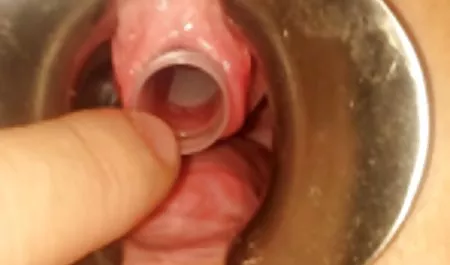 Lesbian film bokep xxx barat Budak-Senang Di Bawah Gundik Tali Pada