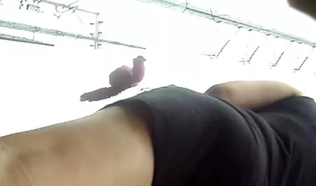 Pantat besar lesbian, Jenna bokep barat the movie dan Katrina