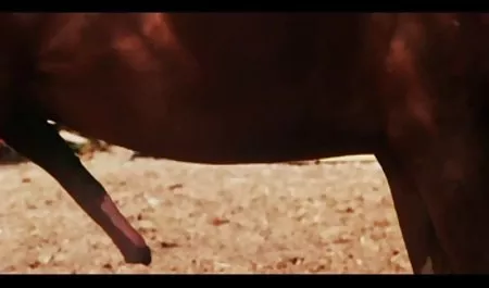 Merah film bokep barat hamil Mencintainya Kemaluan